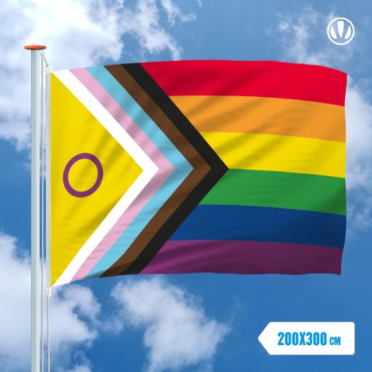Intersekse Progress vlag 200x300cm
