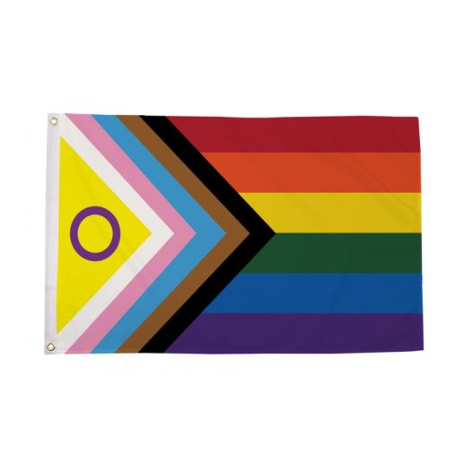 Intersekse Progress vlag 90x150cm