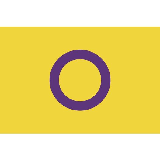 Grote Vlag Intersekse