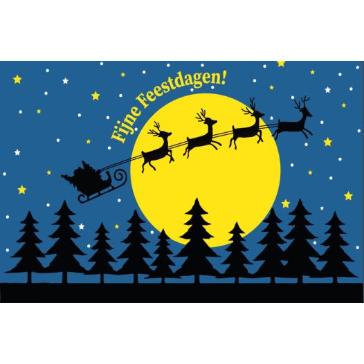 Kerst vlag Fijne Feestdagen 200x300cm grote mastvlag