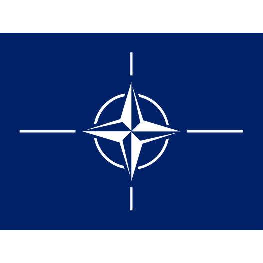 Grote vlag Navo 200x300