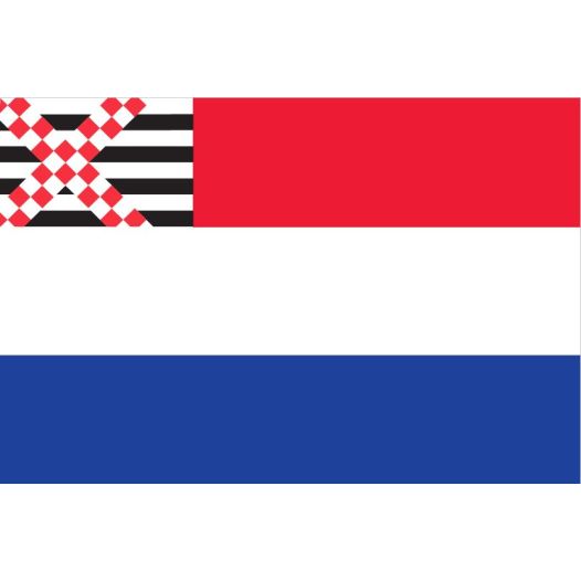 Vlag Nederland met inzet Loosdrecht 80x120cm