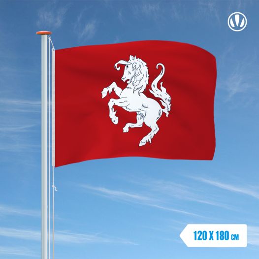 Traditionele vlag Twense Ros 120x180cm