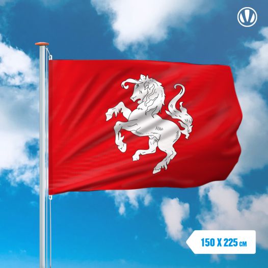 Officiele vlag Twentse Ros 150x225cm