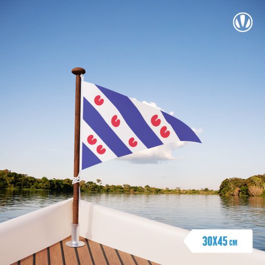 Puntvlag Friesland wimpel 30x45cm Friese Puntvlag