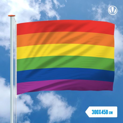 Regenboogvlag 300x450cm