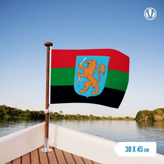 Vlag Aalsmeer met wapen 30x45cm