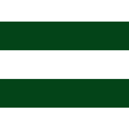 Vlag Asse 150x225cm
