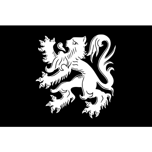 Vlag Asse 100x150cm