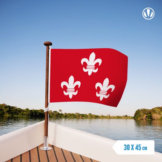 Vlag Beverwijk 30x45cm