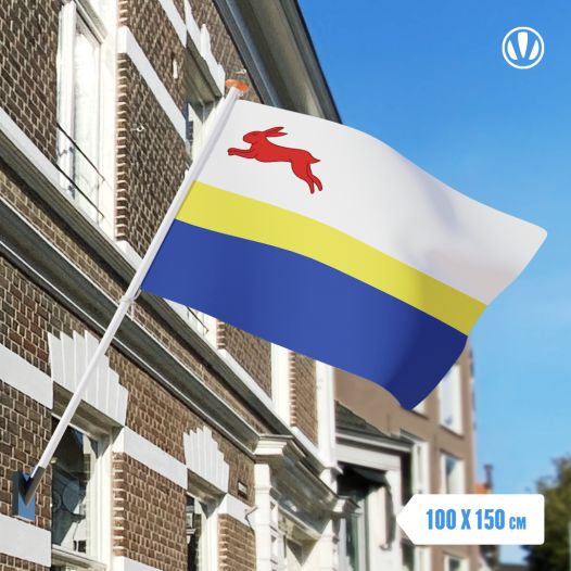 Vlag De Fryske Marren 100x150cm