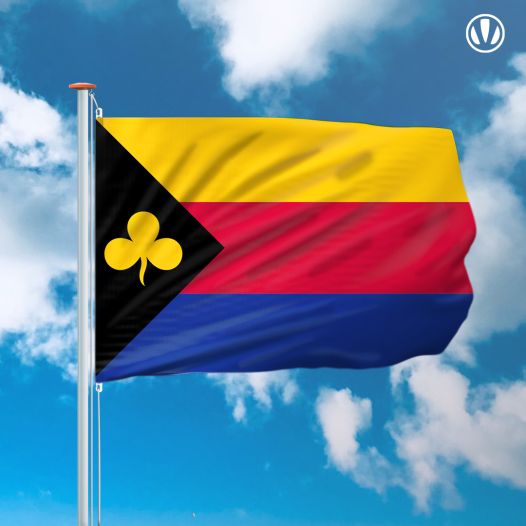 vlag Delfzijl 150x225cm