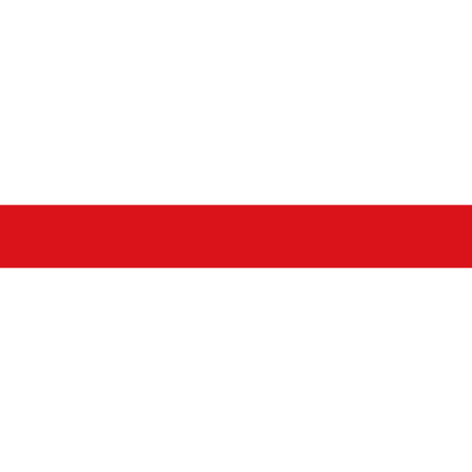 Vlag Dendermonde