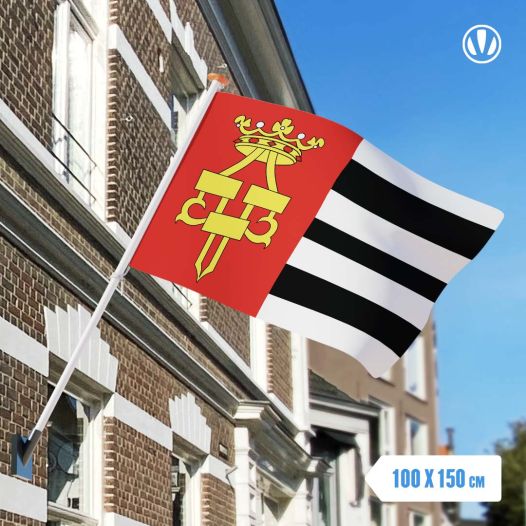 Vlag Drachten 100x150