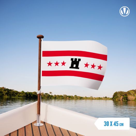 Vlag Drenthe 30x45cm