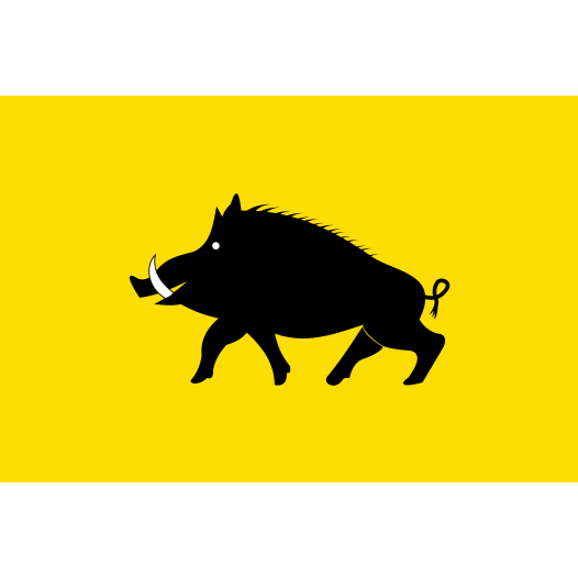 Vlag Evergem