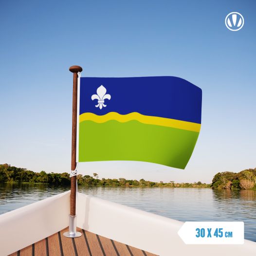 Vlag Flevoland 30x45cm