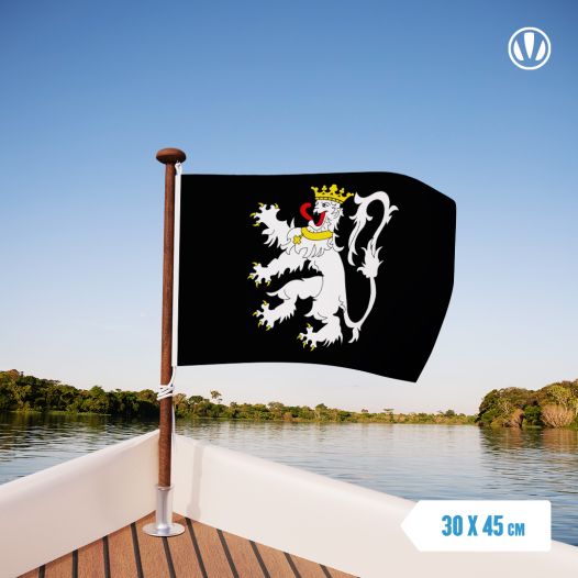 Vlag Gent 30x45cm 