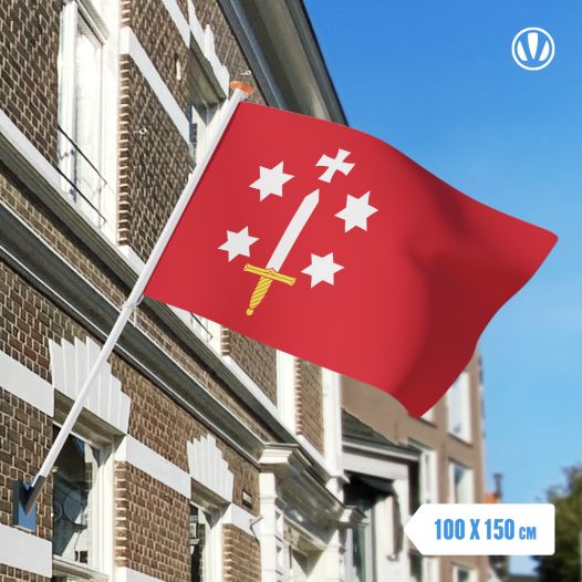 Vlag Haarlem 100x150