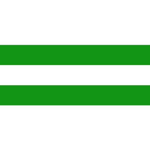 Grote vlag Hasselt