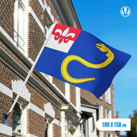 Vlag Heeg 100x150cm
