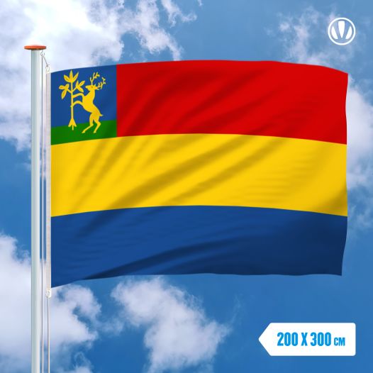 Grote Mastvlag Hellendoorn 200x300cm