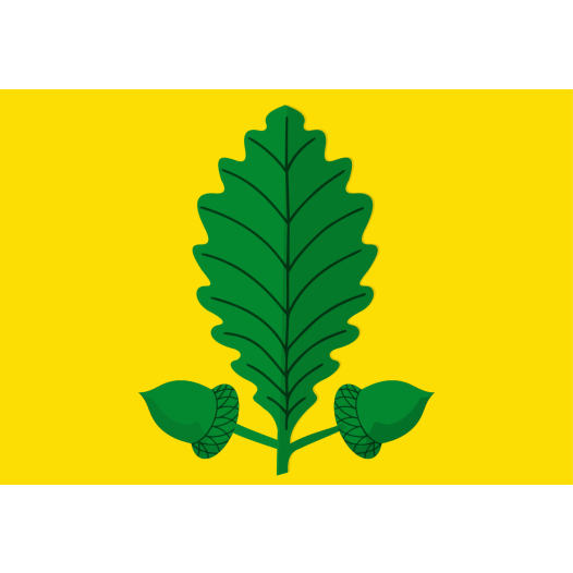 Vlag Heusden-Zolder
