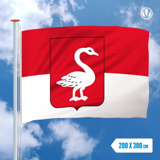 Grote Mastvlag Huissen