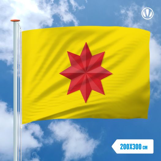 Vlag Kralingen 200x300cm