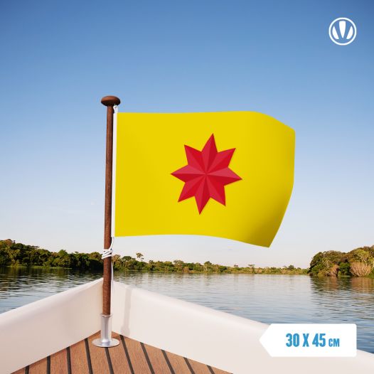 Vlag Kralingen 30x45cm