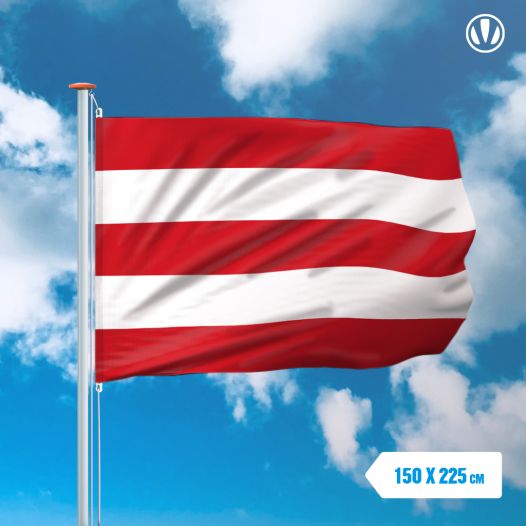 Vlag Oostergo 150x225cm