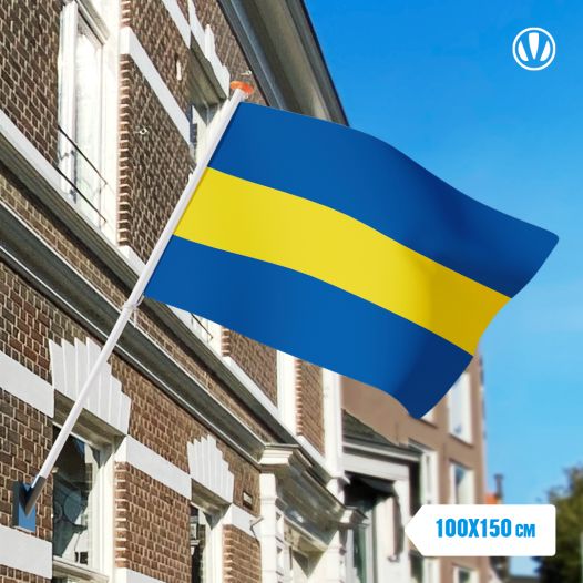 Vlag Rijswijk 100x150cm