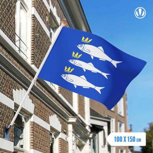 Vlag Scheveningen 100x150