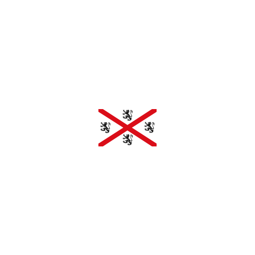 Vlag Seraing