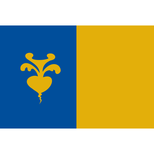 Vlag Sint-Niklaas