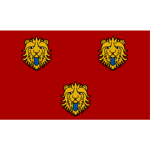 Vlag Staden 100x150cm