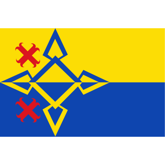 Vlag Steenwijk 30x45