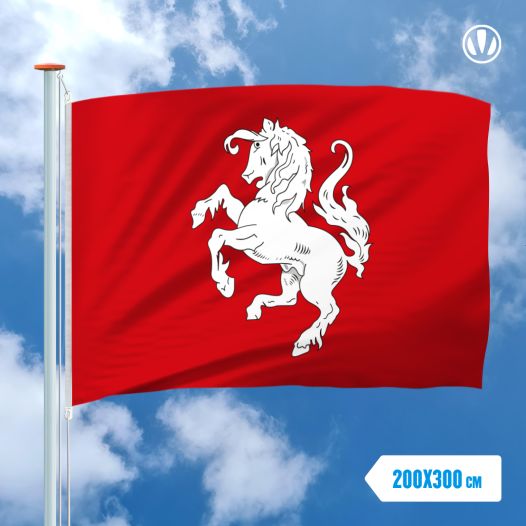Offciele vlag Twentse Ros 200x300cm