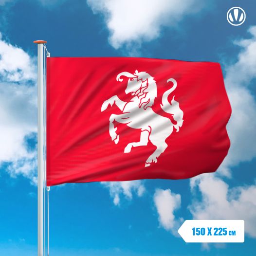 Vlag Twente 150x225cm