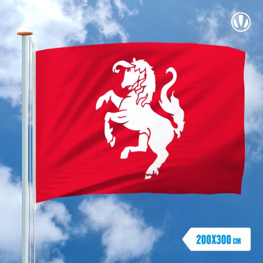 Vlag Twente 200x300cm