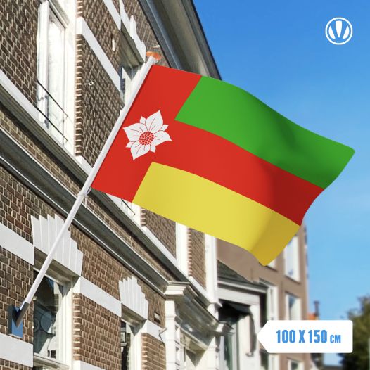 Vlag Tynaarlo 100x150