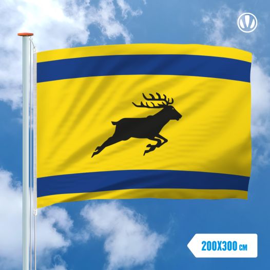 Vlag Veluwe 200x300cm