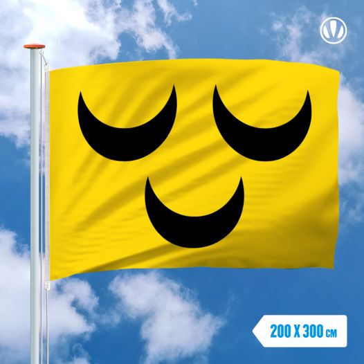 Grote Mastvlag Voorschoten 200x300