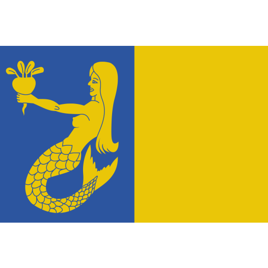 Vlag Waasmunster