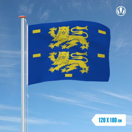 Vlag West-Friesland 120x180cm