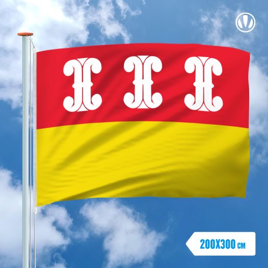Grote Mastvlag Wijk Bij Duurstede 200x300