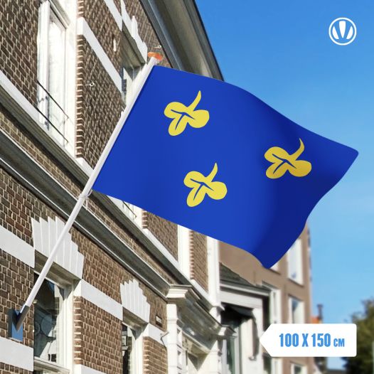 Vlag Zoeterwoude 100x150