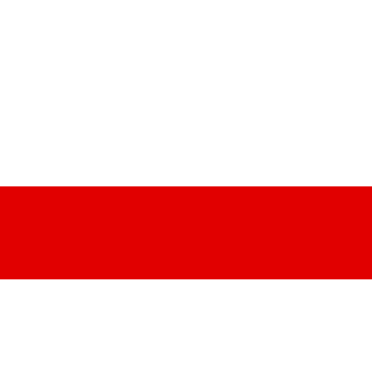 Vlag Thuringen 100x150cm