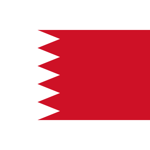 Vlag Bahrein 50x75cm