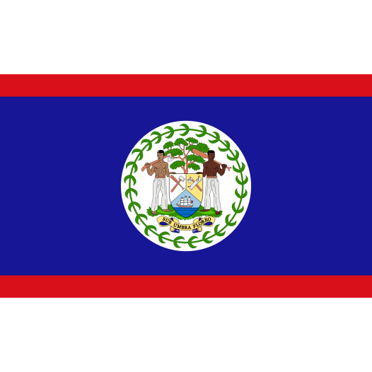 Bootvlag Belize 30x45cm